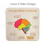 NESTA TOYS - Human Brain Anatomy Puzzle | DIY Coloring Activity | Educational Home Schooling Toy (13 Pieces), 2 image