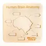 NESTA TOYS - Human Brain Anatomy Puzzle | DIY Coloring Activity | Educational Home Schooling Toy (13 Pieces), 5 image