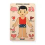 NESTA TOYS - Human Body Anatomy Puzzle (14 Pcs) | Montessori Puzzle for Preschoolers Ages 3+, 3 image