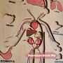 NESTA TOYS - Human Body Anatomy Puzzle (14 Pcs) | Montessori Puzzle for Preschoolers Ages 3+, 5 image