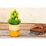 Karru Krafft Terracotta Succulent/ Money/ Cactus Indoor Planter for Living Room Dcor/Bed Room Decor Terracotta Home & Decorative Planter for Home Decor (10.16cm x 7.62cm x7.12 cm Pastel Yellow), 5 image