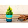 Karru Krafft Terracotta Succulent Indoor Planter for Living Room Dcor/Room Dcor/Bed Room Decor Terracotta Home & Decorative Planter for Home Decor (10.16cm x 7.62cm x7.12 cmPastelBlue), 5 image