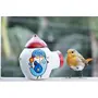 Karru Krafft Terracotta Clay Bird Home Bird Feeder Birds Food Container Serving Bowl for Sparrow Pig Squirrel Parrot Hanging On Tree/Balcony/Roof (White), 6 image