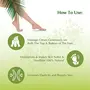 Dwibhashi Herbal Foot Care Cream | Nourishes Hydrates & Moisturizes Skin | 120 gms (pack of 4), 5 image