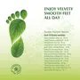 Dwibhashi Herbal Foot Care Cream | Nourishes Hydrates & Moisturizes Skin | 120 gms (pack of 4), 3 image
