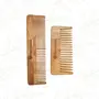 Almitra Sustainables Neem Comb Pack of 2 Small & Large