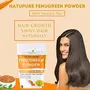 Natupure Fenugreek Powder for Hair | 100% Natural No 100gm, 3 image