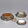 Stainless Steel Dog Food Bowl Combo Set of 3 | Dog Accessories Water Food Feeding Bowl with Metal Bone Design Support for cat|Pets |Puppy (Silver)