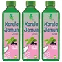 Karela Jamun (Sugr Free) Juice - 1litre pack of 3
