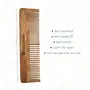 Almitra Sustainables Neem Comb Pack of 2 Small & Large, 2 image