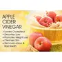 Apple Cider Vinegar For With Mother 750ml Organic Apple cidar Apple Cider Vinegar with motherraw unfiltered apple cider vinegar, 6 image
