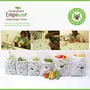 Vegetable and Fruit Storage Bag for Fridge ( Combo Pack of 6, 2 Large 4 Regular) By Clean Planet, 7 image