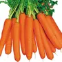 Edible Carrot Seed and Raddish Seed (Combo of 2,Pack Of 100G), 3 image