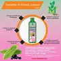 Karela Jamun (Sugr Free) Juice - 1litre pack of 3, 3 image