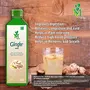 Ginger (Sugr free) Juice - 1litre pack of 1, 3 image