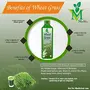 Wheat Grass Juice - 1 litre pack of 2, 3 image