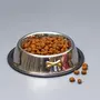 Stainless Steel Dog Food Bowl Combo Set of 3 | Dog Accessories Water Food Feeding Bowl with Metal Bone Design Support for cat|Pets |Puppy (Silver), 3 image