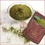 Spice Platter Dry Pudhina Powder (Dry Mentha Powder) (200g), 2 image
