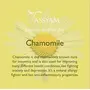 Tassyam Beauty Sleep Chamomile Herbal Tea 40g | Premium Tisanes, 5 image