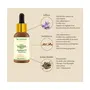 Vedantika Herbals Kumkumadi Oil- Facial Serum for Radiant skin 100% Natural and Vegan Cruelty Free 20 ml, 4 image