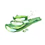 HEILEN BIOPHARM Aloe Vera Powder 200 gram- Face & Hair Care 100% Natural Food Grade (200 gm / 7 oz / 0.44 lb), 6 image