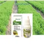 (Pack of 5) 20 Mlx5 Bottles Pack of Concentrated Stevia Extract Liquid (500 Drops x 5) for Weight Loss and Diabetes, 4 image