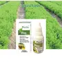 (Farm Natural Produce) Zero Calorie Concentrated Stevia Extract 20-ml - Pack of 3, 2 image
