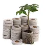 Plant Care Seed Starter Coco Disc | Coco Pellets | Coco Coin | Hydroponics Seed Germination kit - Coir Fiber Cocopeat Seedling Coins 40MM (50)