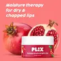 PLIX - THE PLANT FIX Pomegranate Lip Exfoliating Scrub For Dark Dry & Chapped Lips | Cocoa Butter & Vitamin E | 100% Vegan | 15 gms, 4 image