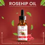 Tegut Rosehip Seed Oil - Pressed Pure & Undiluted Carrier Oil for Skin Lightening Stretch Marks Acne Scars Wrinkles Aeging (10 ML), 2 image