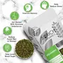 Sorich Organics Spearmint Herbal Tea 100gm | Spearmint Tea for PCOS PCOD | Spearmint Tea Leaves | Helps with Hormonal Imbalance Unwanted Facial Hair Acne | , 4 image