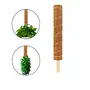 Plant Care Coco Coir Stick Pole Moss Stick for Climbing Money Plant | Indoor and Outdoor Plants | Housing Plants Support | Climbers (4 Feet 1), 5 image