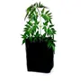 PLANT CARE Grow Bag Plant Bag UV Protected Black (5 24 X 24 X 40 CMs), 3 image