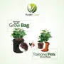 PLANT CARE Potato Grow Bags w/Access Flap Garden Planting Bag with Durable Thickened Nonwoven Fabric Pots for Tomato Vegetable and Fruits etc.-Pack of 1 (14 in X 16 in), 5 image