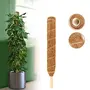 Plant Care Coco Coir Stick Pole Moss Stick for Climbing Money Plant | Indoor and Outdoor Plants | Housing Plants Support | Climbers (4 Feet 1), 6 image