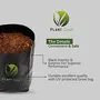 PLANT CARE Sturdy Fabric Grow Bag Plant Bag UV Protected - Black 5 X 7 inch (50), 5 image