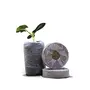 Plant Care Seed Starter Coco Disc | Coco Pellets | Coco Coin | Hydroponics Seed Germination kit - Coir Fiber Cocopeat Seedling Coins 40MM (50), 3 image