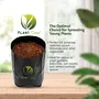 PLANT CARE Plastic Growing Bag Black 5 X 7 Inch Small Size 50 Pieces, 6 image