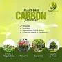 PLANT CARE Activated Horticultural Plant Black Carbon Powder Dust for Terrariums Succulents Cactus Orchid and Ornamental Plants for Lush Vegetables Flowers and Garden (500 gm), 6 image