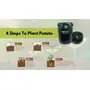 PLANT CARE Olive Green Garden Potato Grow Bags w/Access Flap and Handles Aeration Fabric Planter Pots  Heavy Duty Potato Planters Garden Planting Bags for Vegetable and Fruits etc.-Pack of 1 (10 x 12), 2 image