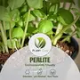 PLANT CARE Organic Perlite for Hydroponics & Horticulture Indoor and Outdoor Plants Kitchen Garden Terrace Gardening etc. (1), 7 image