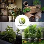 PLANT CARE Organic Perlite for Hydroponics & Horticulture Indoor and Outdoor Plants Kitchen Garden Terrace Gardening etc. (1), 6 image