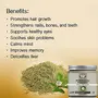 7 Fox Natural Organic Bhringraj Powder For Hair Growth - 100 Grams, 2 image
