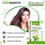 Elecious Amla Indian Gooseberry Powder for Hair Growth (250 Grams) Black Colour Drinking and Eating, 3 image
