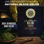 Shesha Naturals Nilini Hair Colour - 100% Ayurvedic ZERO Chemicals Natural Black Colour - 40g, 5 image