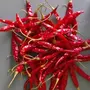 PURE PIK Guntur Teja Red Chilli Whole -1 Kg | Hot And Spicy |Teja mirchi| lavngi Mirchi |Jawari Mirchi | Red chilli whole |Dry Red chilli whole |, 3 image