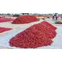 PURE PIK Organically Cultivated Mathania Red Chilli (Lal Mirch) Premium Bold Size Hand Sorted Limited Edition 100 Gram, 4 image