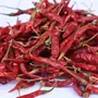 PURE PIK Guntur Teja Red Chilli Whole -1 Kg | Hot And Spicy |Teja mirchi| lavngi Mirchi |Jawari Mirchi | Red chilli whole |Dry Red chilli whole |, 2 image