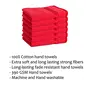STAMIO Cotton 390 GSM Hand Towel Set (Set of 6 Red) Heritage Square Border, 2 image