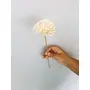 Vanchai Zinnia Sola Flower (5pcs), 2 image